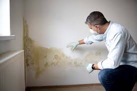 Professional Mold Removal Services in Gresham, OR